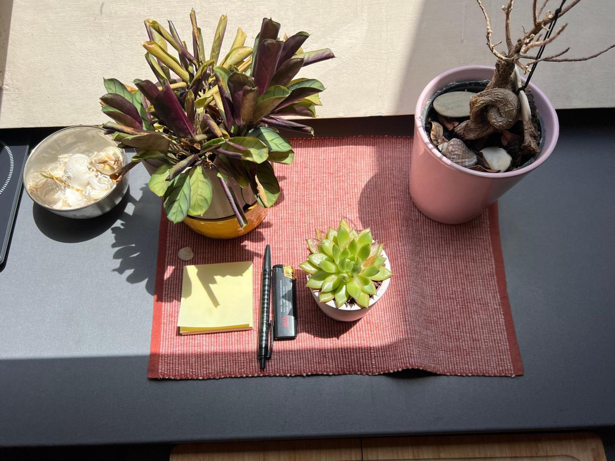 Cosy Rooftop In Center * Sofía