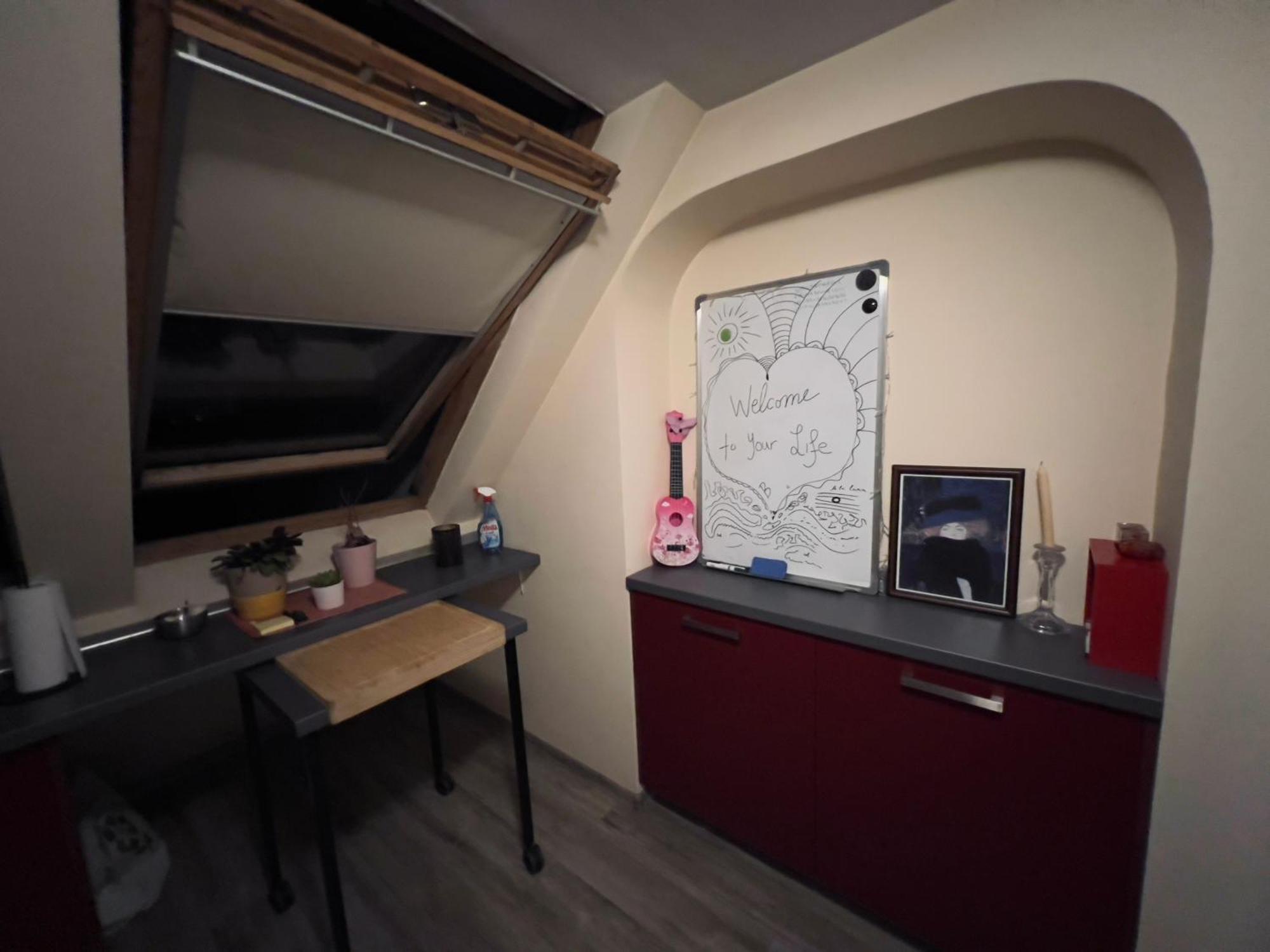 Cosy Rooftop In Center Apartment Sofia