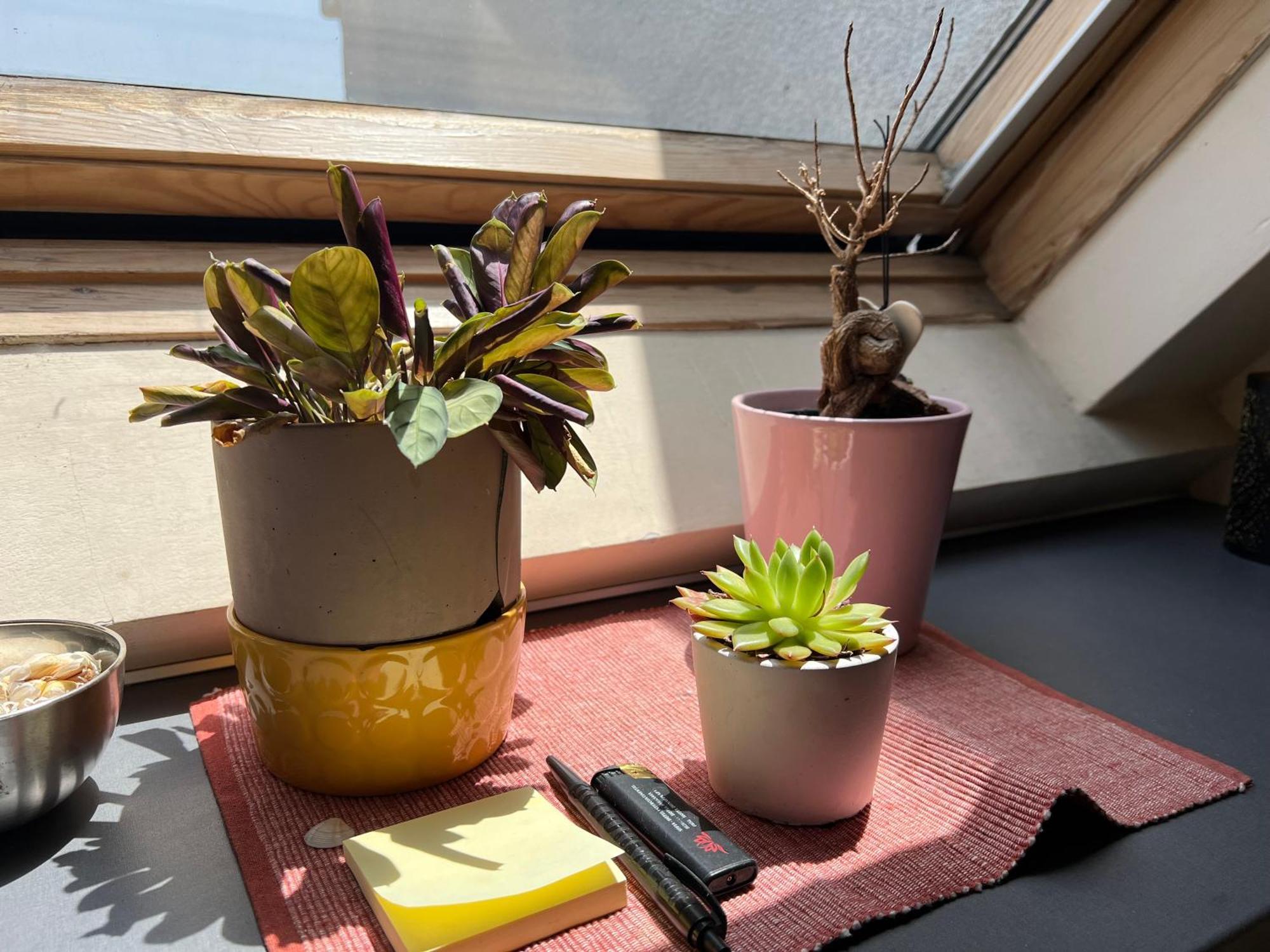 Cosy Rooftop In Center Apartment